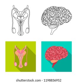 Vector illustration of body and human logo. Set of body and medical stock vector illustration.