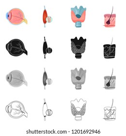 Vector illustration of body and human logo. Collection of body and medical stock symbol for web.