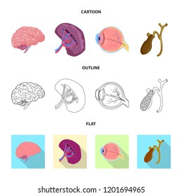 Vector illustration of body and human logo. Set of body and medical vector icon for stock.