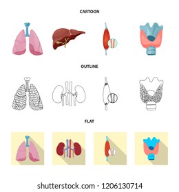 Vector illustration of body and human logo. Set of body and medical vector icon for stock.