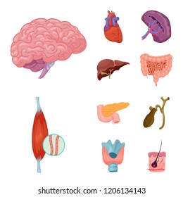 Vector illustration of body and human logo. Set of body and medical stock vector illustration.