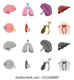 Vector illustration of body and human logo. Collection of body and medical stock vector illustration.