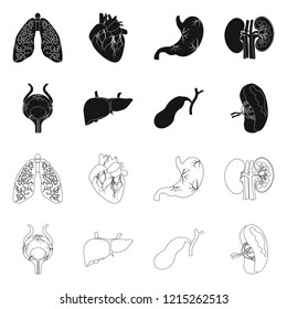 Vector illustration of body and human logo. Set of body and medical stock vector illustration.