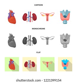 Vector illustration of body and human logo. Set of body and medical stock vector illustration.