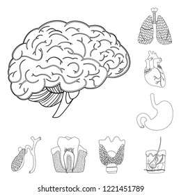 Vector illustration of body and human logo. Collection of body and medical vector icon for stock.