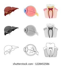 Vector illustration of body and human logo. Collection of body and medical vector icon for stock.