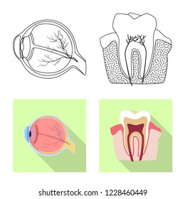 Vector illustration of body and human logo. Collection of body and medical vector icon for stock.