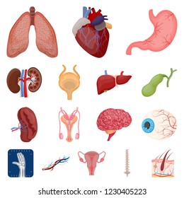 Vector illustration of body and human logo. Collection of body and medical vector icon for stock.
