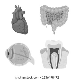 Vector illustration of body and human logo. Set of body and medical vector icon for stock.