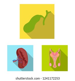 Vector illustration of body and human logo. Collection of body and medical stock vector illustration.