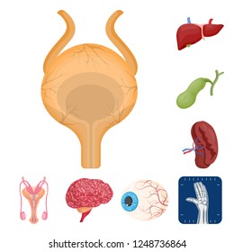 Vector illustration of body and human logo. Collection of body and medical vector icon for stock.