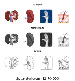 Vector illustration of body and human logo. Collection of body and medical vector icon for stock.