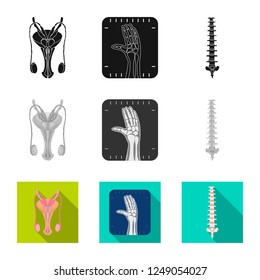 Vector illustration of body and human logo. Collection of body and medical stock symbol for web.