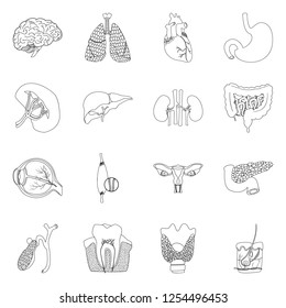 Vector illustration of body and human logo. Set of body and medical vector icon for stock.