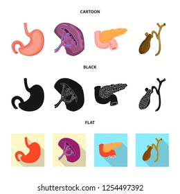 Vector illustration of body and human logo. Collection of body and medical stock vector illustration.