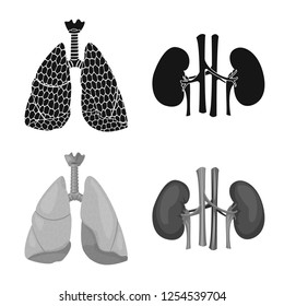 Vector illustration of body and human logo. Set of body and medical vector icon for stock.