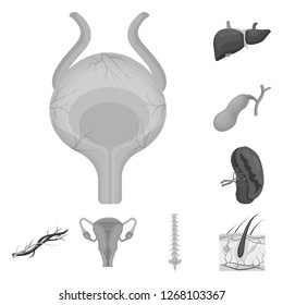 Vector illustration of body and human logo. Set of body and medical vector icon for stock.