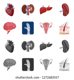Vector illustration of body and human logo. Collection of body and medical stock vector illustration.
