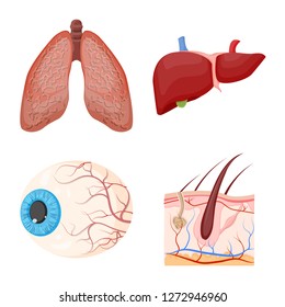 Vector illustration of body and human logo. Set of body and medical stock vector illustration.
