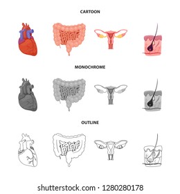 Vector illustration of body and human logo. Collection of body and medical vector icon for stock.