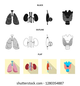 Vector illustration of body and human logo. Collection of body and medical vector icon for stock.