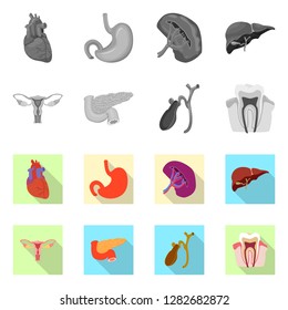 Vector illustration of body and human logo. Set of body and medical stock vector illustration.