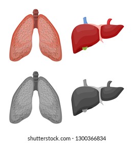 Vector illustration of body and human logo. Collection of body and medical stock vector illustration.