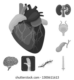 Vector illustration of body and human logo. Set of body and medical stock vector illustration.