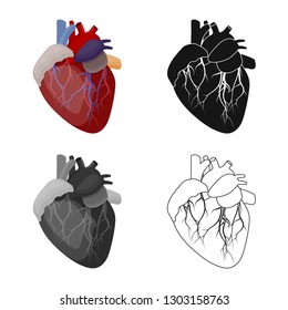 Vector illustration of body and human logo. Collection of body and medical vector icon for stock.