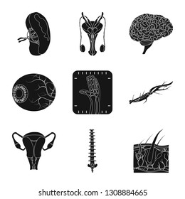 Vector illustration of body and human logo. Set of body and medical stock vector illustration.