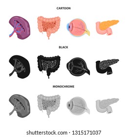 Vector illustration of body and human logo. Collection of body and medical stock vector illustration.
