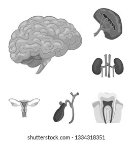 Vector illustration of body and human logo. Collection of body and medical stock symbol for web.