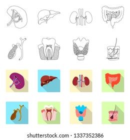 Vector illustration of body and human logo. Collection of body and medical vector icon for stock.