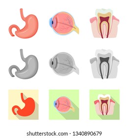 Vector illustration of body and human logo. Set of body and medical vector icon for stock.