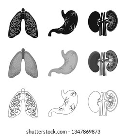 Vector illustration of body and human logo. Set of body and medical vector icon for stock.