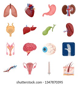 Vector illustration of body and human logo. Collection of body and medical stock symbol for web.