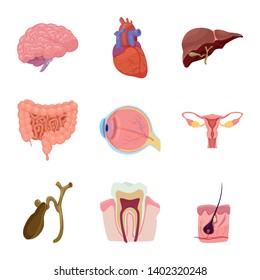 Vector illustration of body and human logo. Collection of body and medical stock vector illustration.