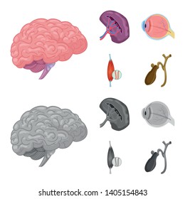 Vector illustration of body and human logo. Collection of body and medical vector icon for stock.