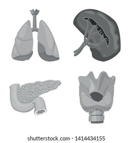 Vector illustration of body and human logo. Set of body and medical vector icon for stock.