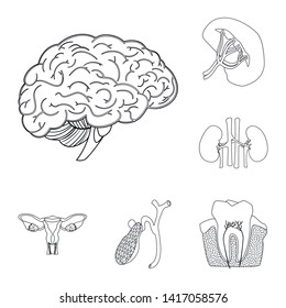 Vector illustration of body and human logo. Set of body and medical vector icon for stock.