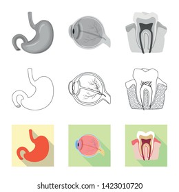 Vector illustration of body and human logo. Collection of body and medical vector icon for stock.