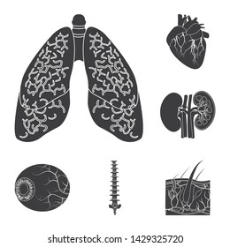Vector illustration of body and human logo. Collection of body and medical vector icon for stock.