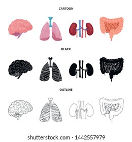 Vector illustration of body and human logo. Collection of body and medical vector icon for stock.