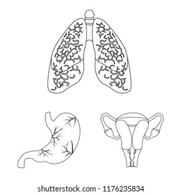 Vector illustration of body and human sign. Set of body and medical vector icon for stock.