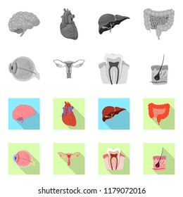 Vector illustration of body and human sign. Collection of body and medical stock symbol for web.