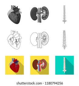 Vector illustration of body and human sign. Collection of body and medical stock vector illustration.