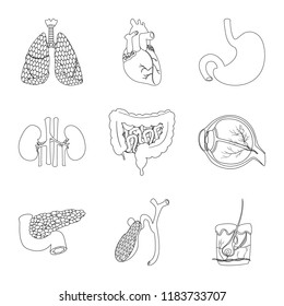 Vector illustration of body and human sign. Collection of body and medical stock symbol for web.