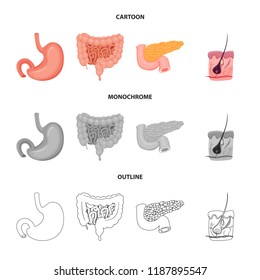 Vector illustration of body and human sign. Set of body and medical stock symbol for web.