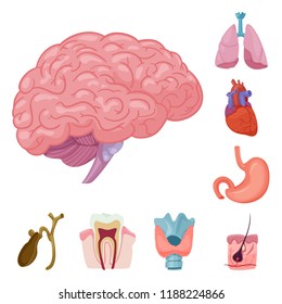 Vector illustration of body and human sign. Set of body and medical stock vector illustration.
