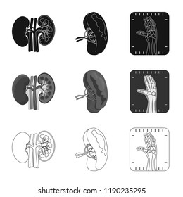 Vector illustration of body and human sign. Set of body and medical vector icon for stock.